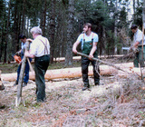 Vereinsmitglieder bei den Holzungsarbeiten